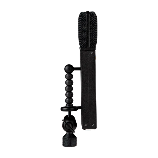 JZ Microphones Black Hole BH1s