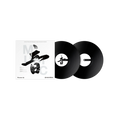 Pioneer DJ RB-VD2-K control vinyl (Black)
