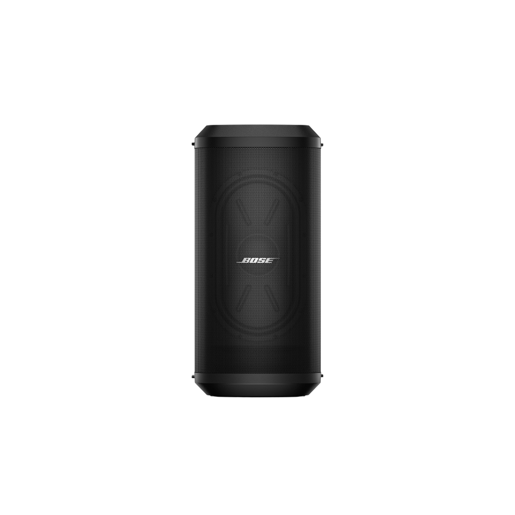 Bose Sub1
